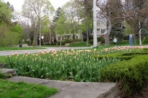 Guide to lawrence park